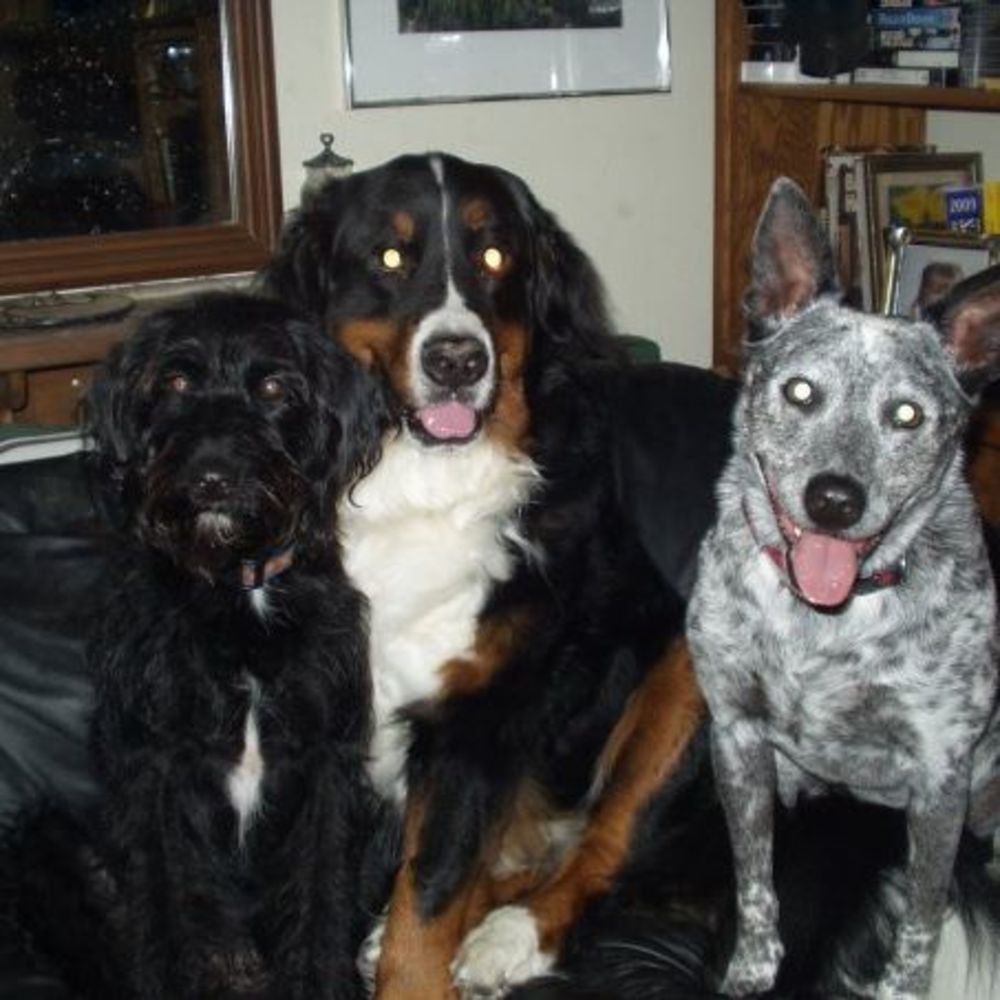 Meet your Posher, Linda